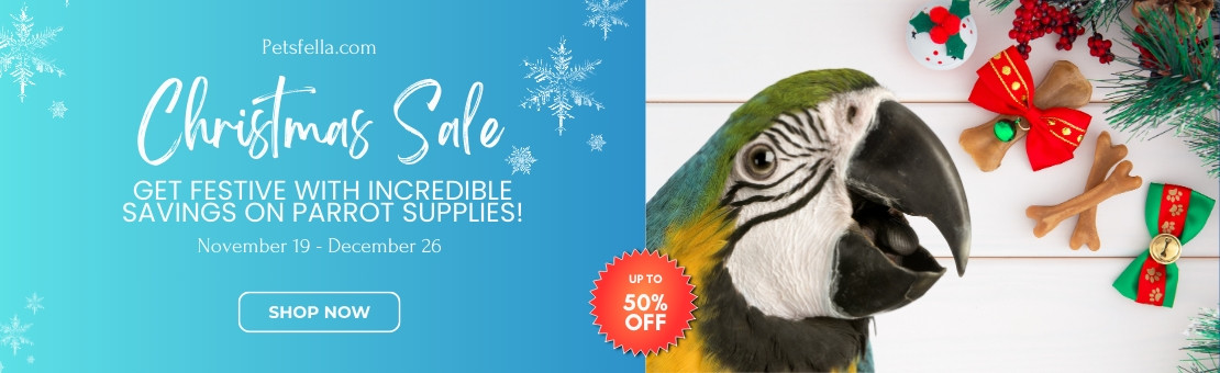 petsfella-Christmas-sale